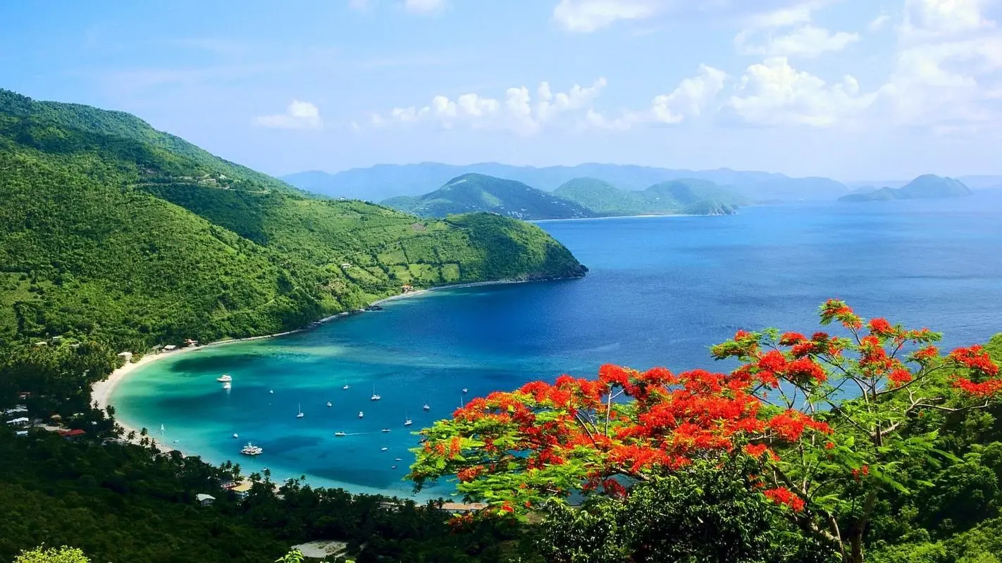 高端智能稳定性